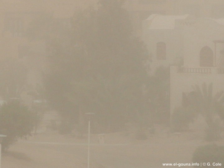 Sandstorm 007